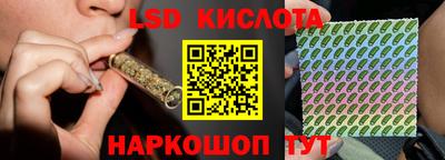 прущие грибы Кунгур