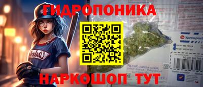 прущие грибы Кунгур