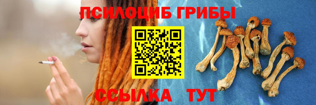 Псилоцибиновые грибы ЛСД  Вход с VPN  Кстово 